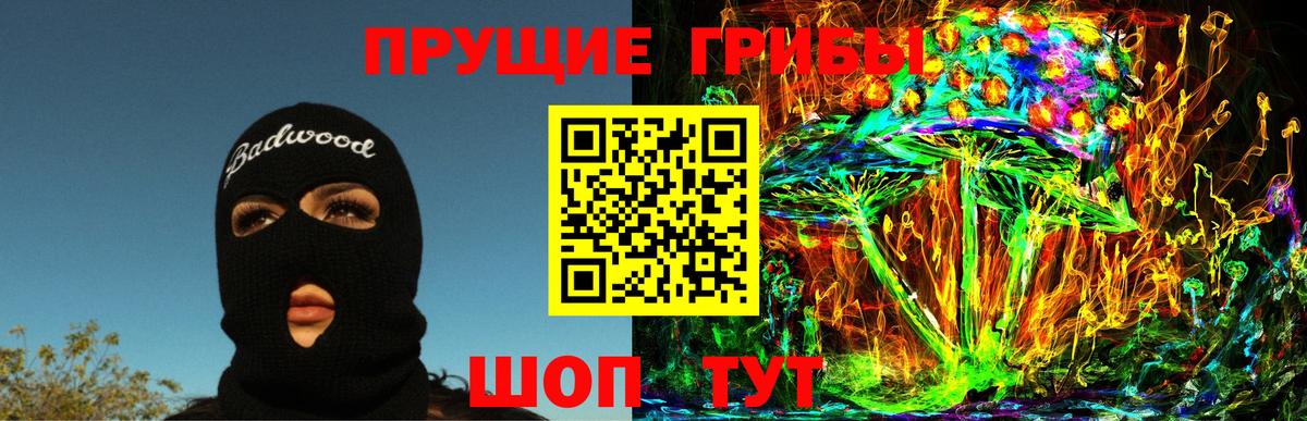 Галлюциногенные грибы Psilocybe Нарткала