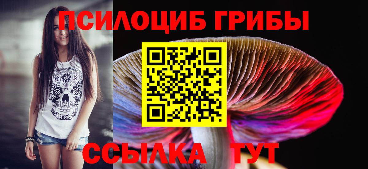 Нарткала  Псилоцибиновые грибы Magic Shrooms  Вход с VPN 